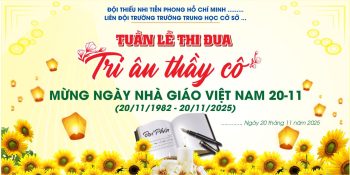 Ngày nhà giáo Việt Nam 20-11 #59